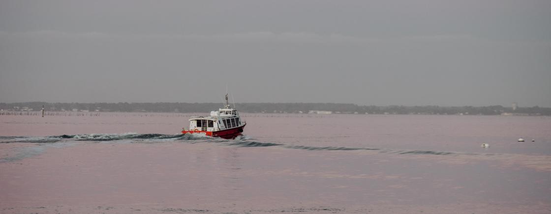 THE ÎLE AUX OISEAUX