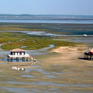 Discover the beauties of the Arcachon Basin